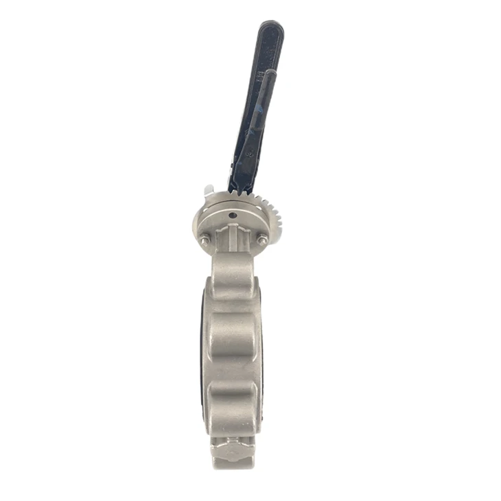 316L Handle Lug Type PTFE Butterfly Valve