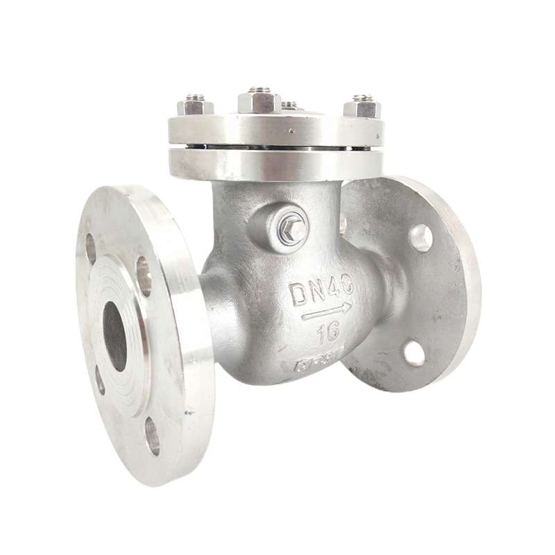 304 swing check valves show 304 swing check valves show